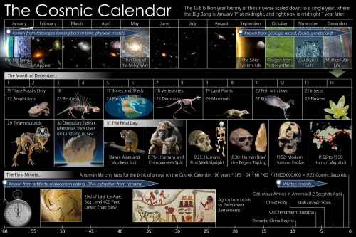 Cosmic_Calendar.png