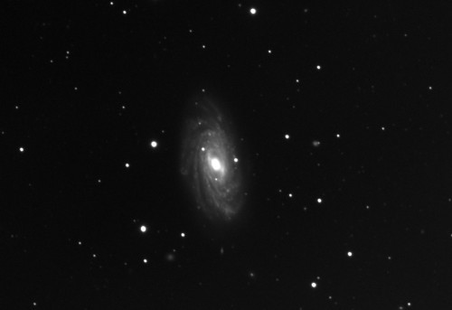 NGC 3953 2h30'-log-DDP.jpg
