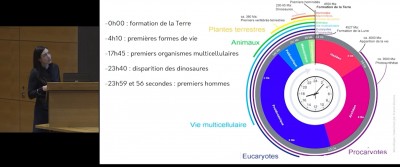 Capture d’écran 2022-03-27 172828.jpg