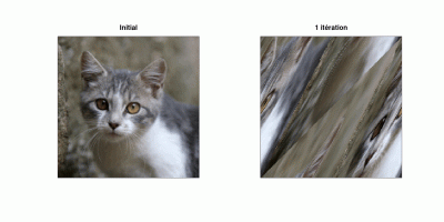 ChatArnold-150-Movie.gif