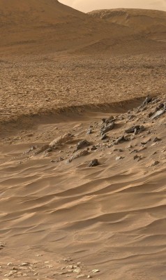 Curiosity_R-MastCam-Sol4206.jpg