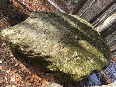 WhatsApp Image 2026-03-24 at 20.45.45 (2).jpeg