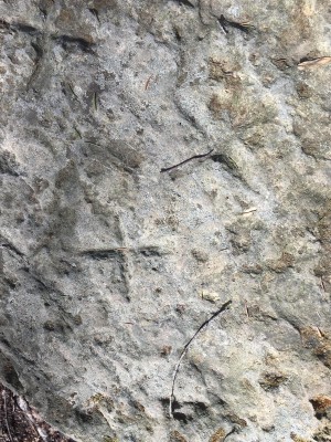 WhatsApp Image 2026-03-24 at 20.45.45 (3).jpeg