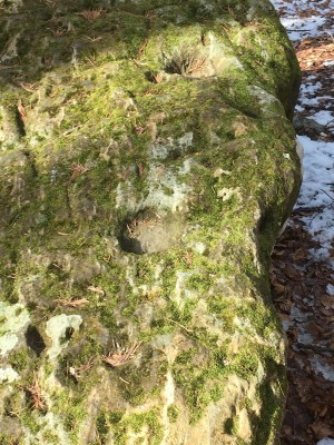 WhatsApp Image 2026-03-24 at 20.45.45 (4).jpeg