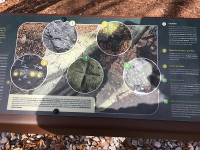 WhatsApp Image 2026-03-24 at 20.45.45.jpeg