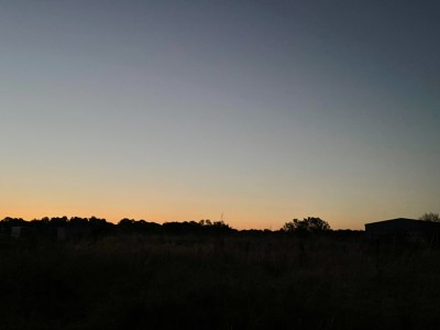 IMG_2577.jpg