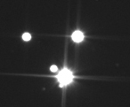 STF1254.jpg