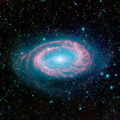 ngc4725_spitzer-729135.jpg