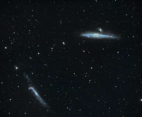 NGC4631_4656Big.jpg