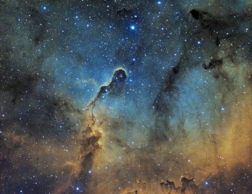 IC1396LSHO_EDT80x480.jpg